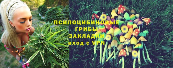 стаф Волоколамск