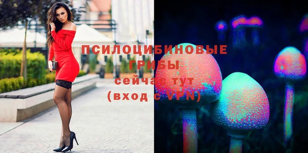 2c-b Володарск
