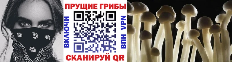 Псилоцибиновые грибы ЛСД Калтан
